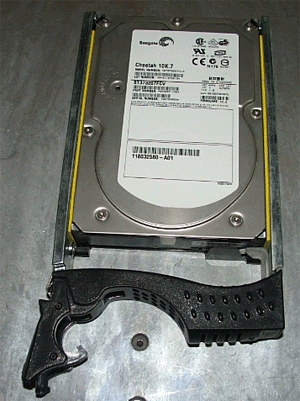 �������ҳ�ף�